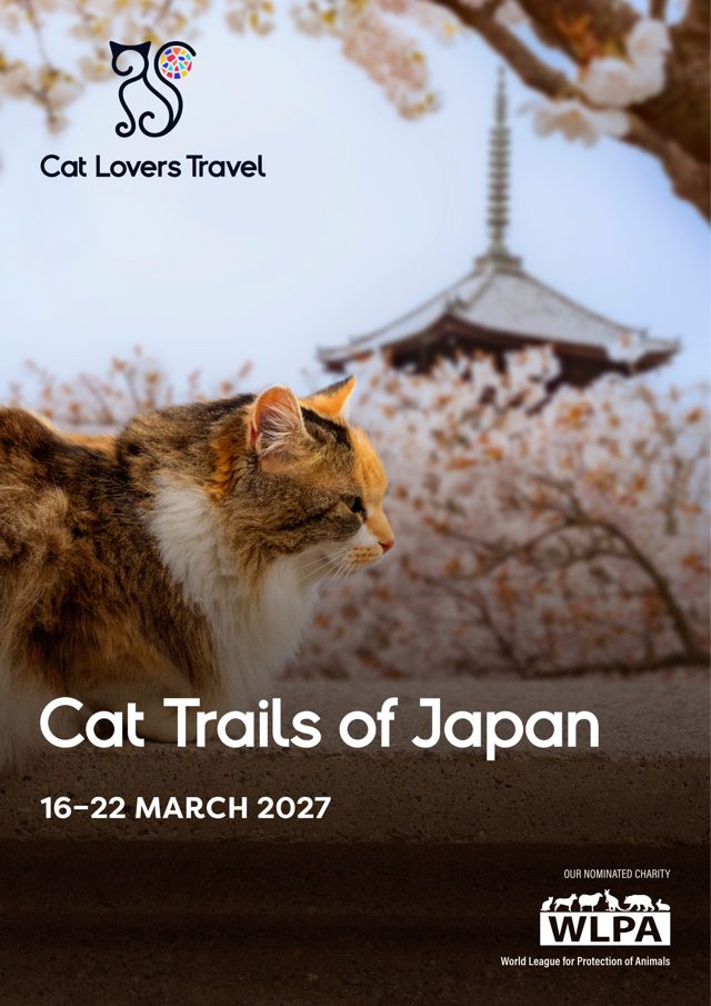 Cover of the Cat Trails of Japan brochure