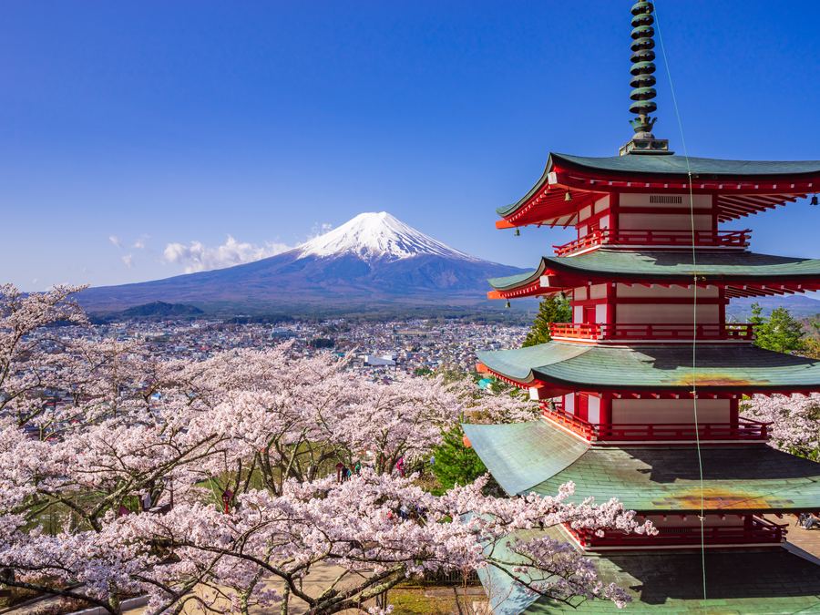 Chureito pagoda with cherry blossom and Mt Fuji